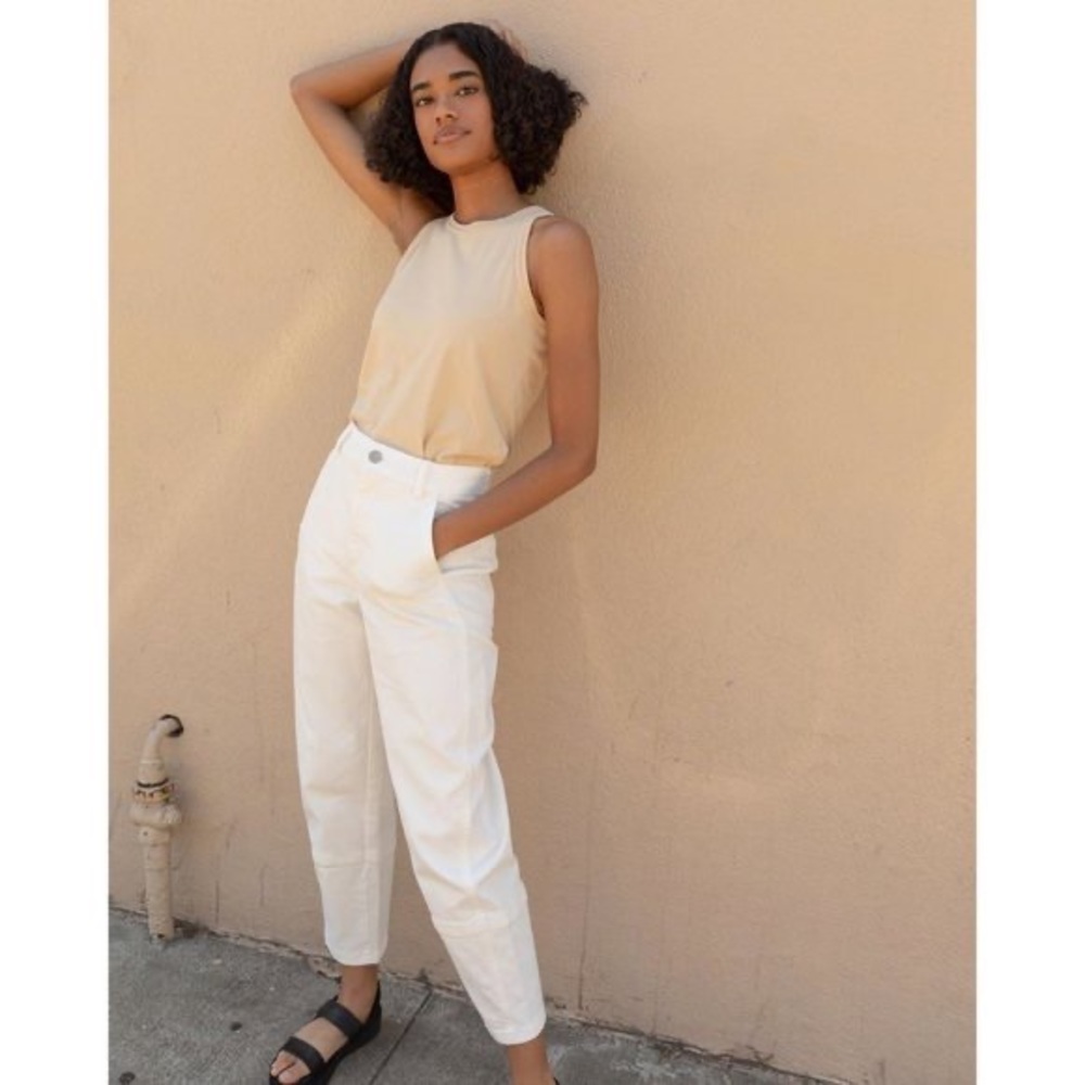 Everlane Utility Barrel Pant in Bone